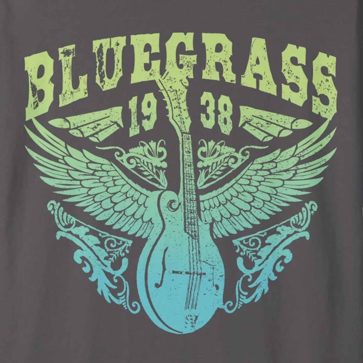 Bluegrass Shine Comfort Colors Relaxed Fit Softy Tee, Bluegrass Music Bliss, Mandolin, Americana, Roots Music