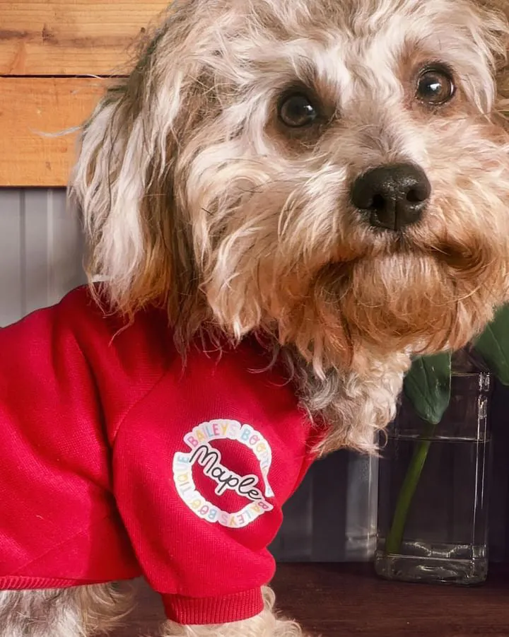 *Clearance* Personalised Hoodie
