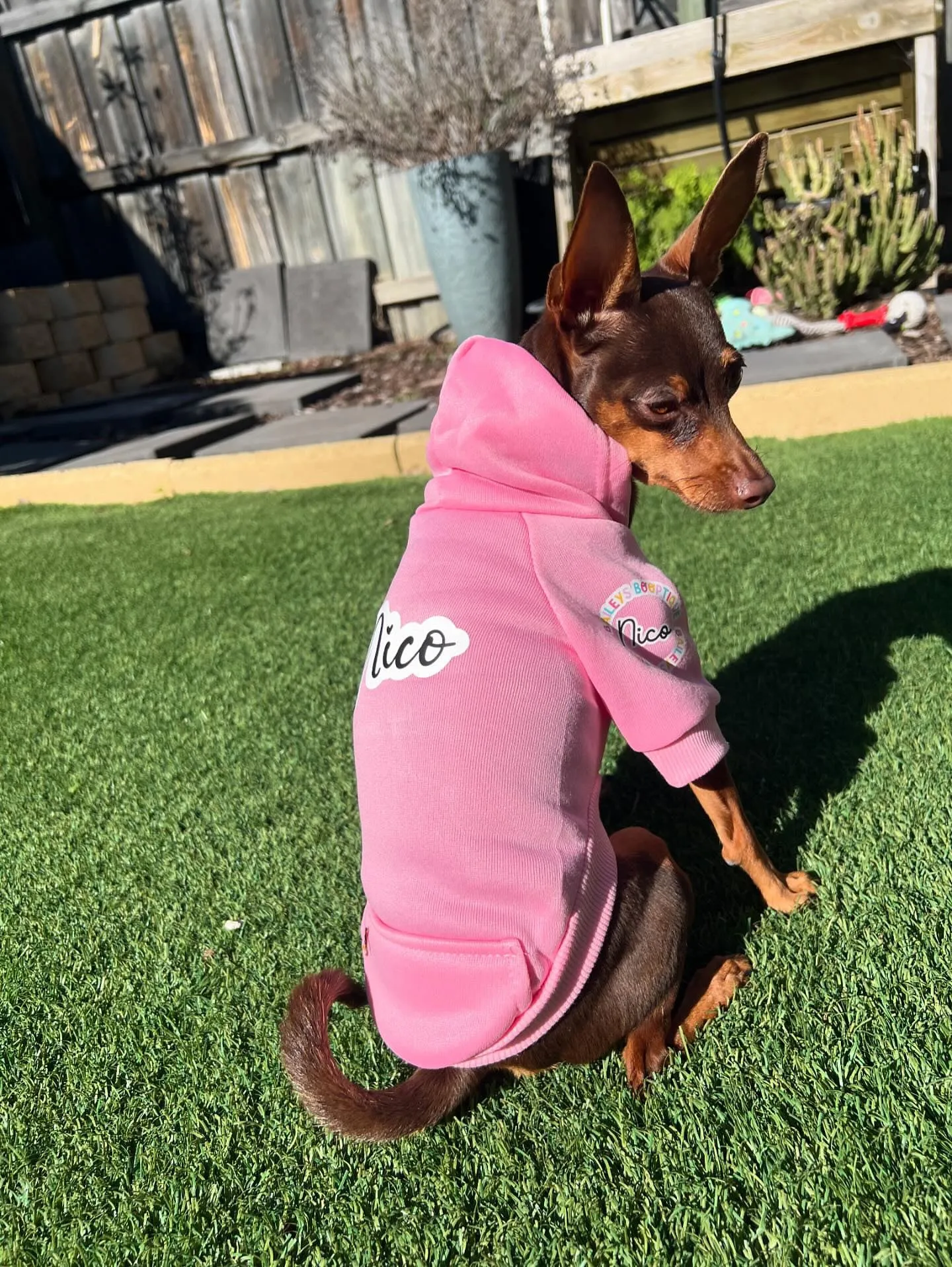*Clearance* Personalised Hoodie