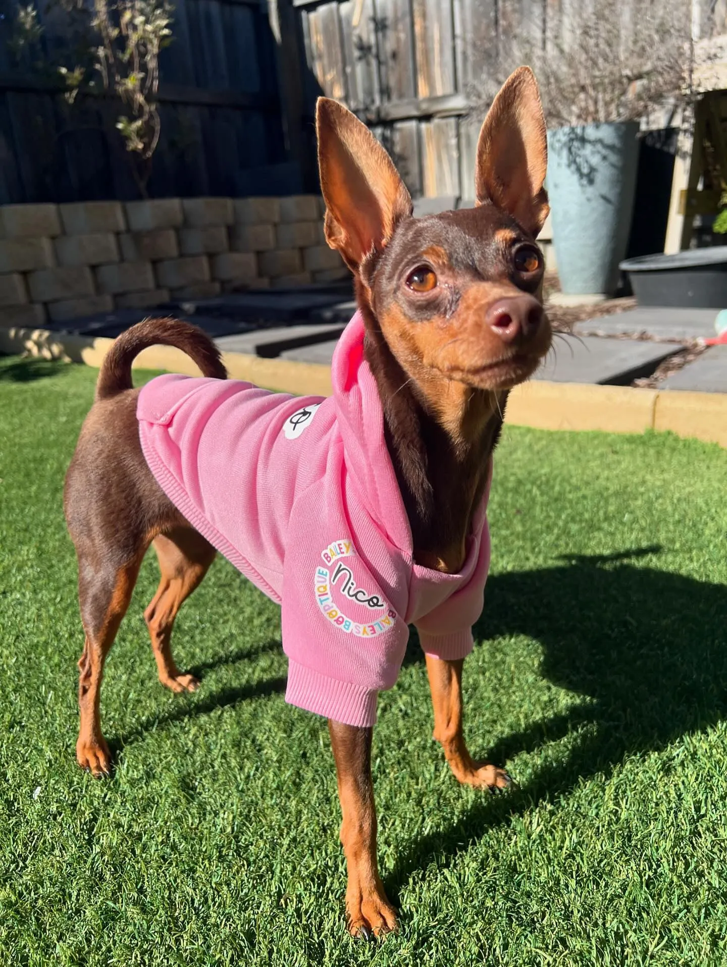 *Clearance* Personalised Hoodie