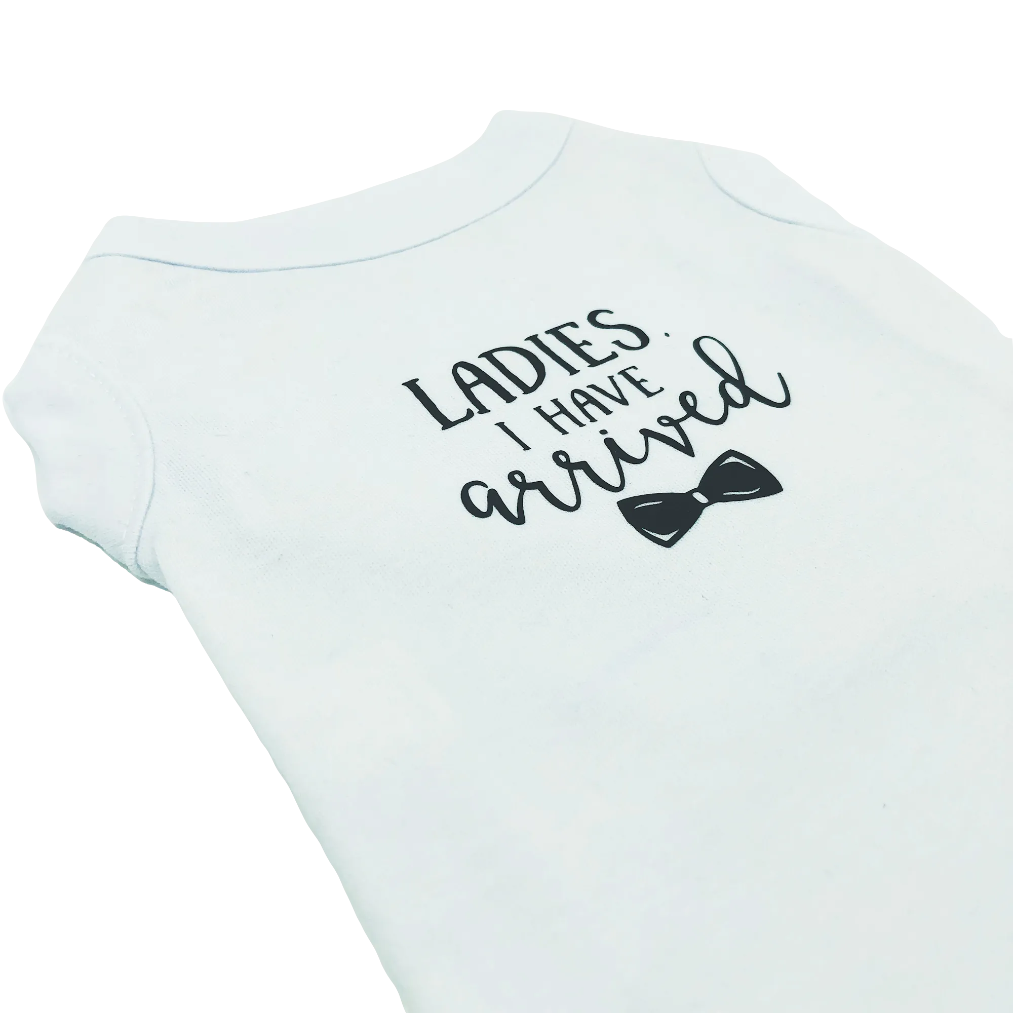 Ladies I Have Arrived Dog Shirt