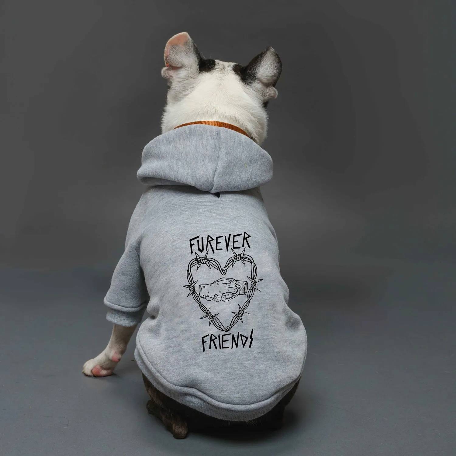 Matching Dog and Human Hoodie Set - Furever Friends⚡️