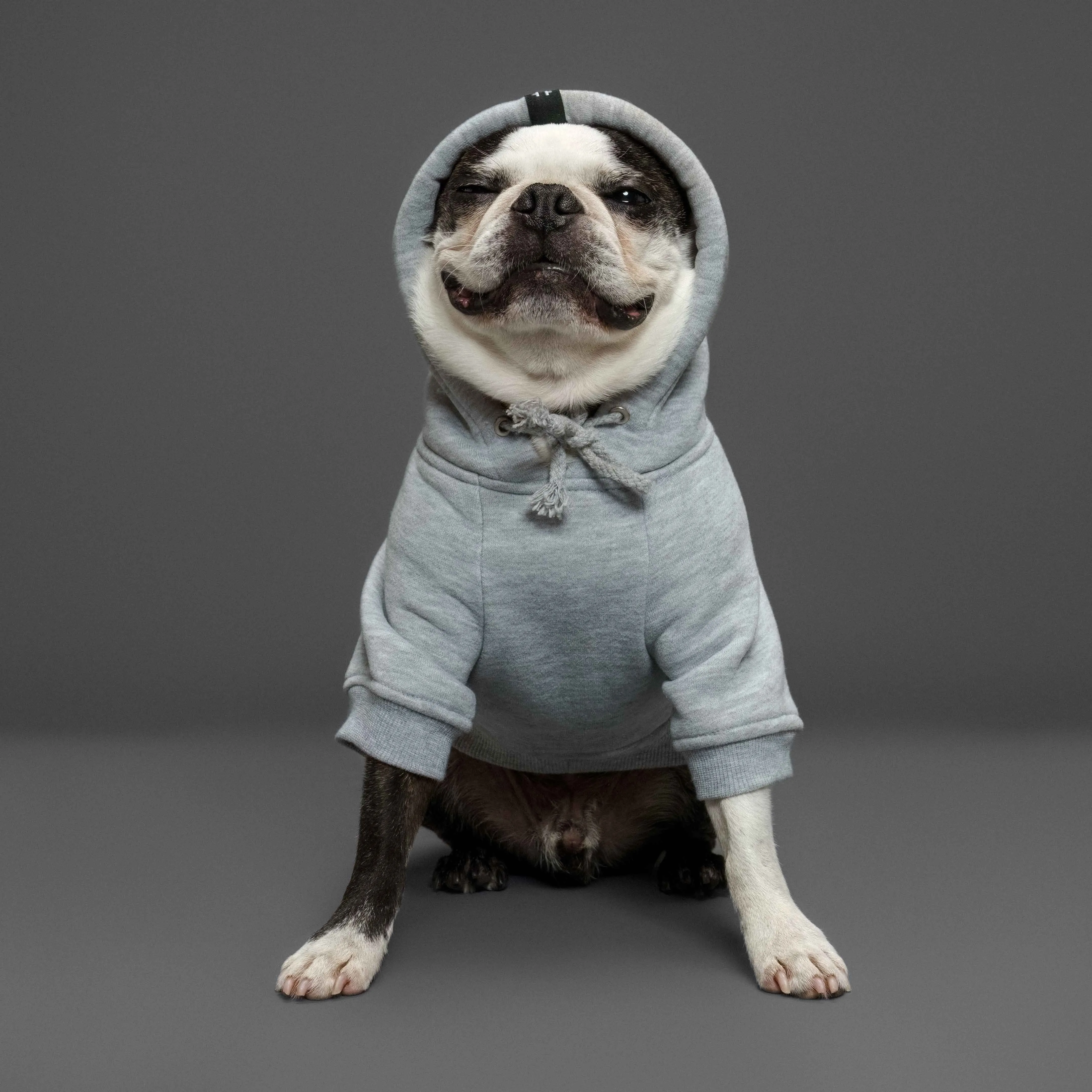 Matching Dog and Human Hoodie Set - Furever Friends⚡️