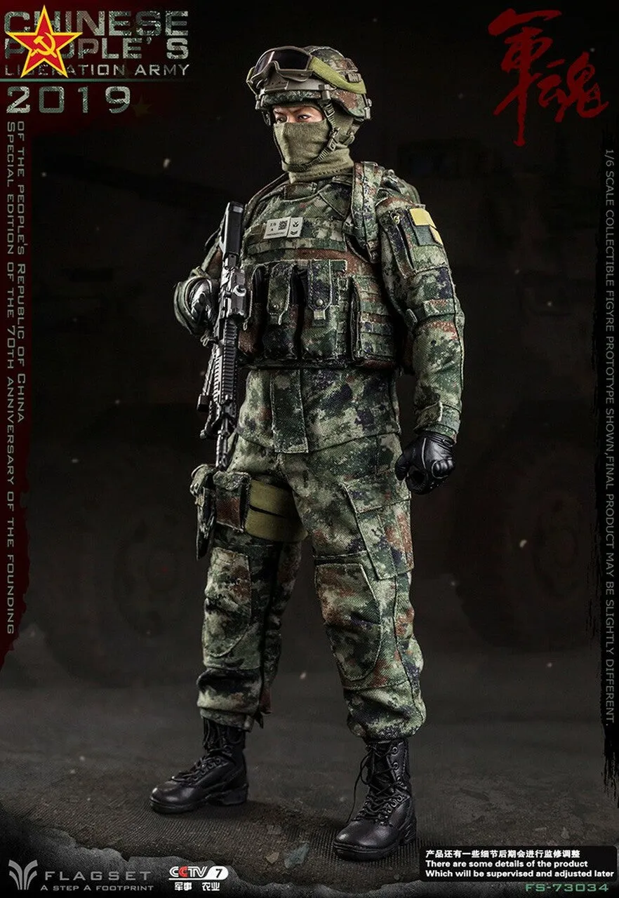 People's Liberation Army - Type 07 Camo MOLLE Plater Carrier w/Pouches