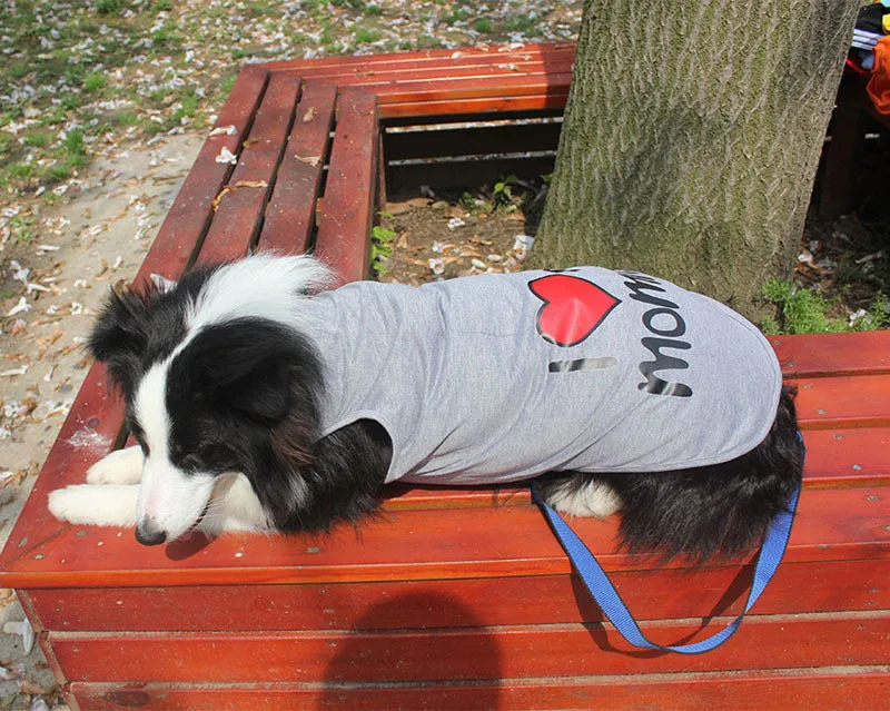 Pet / Dog I love mommy, I love daddy Tank Top