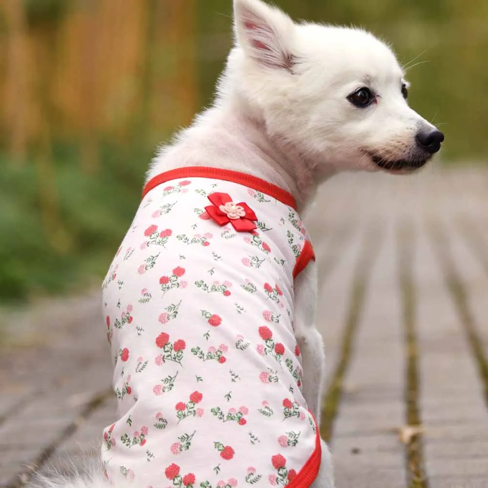 Spring Hope Dog T-Shirts, 2 Pack for Stylish Pets